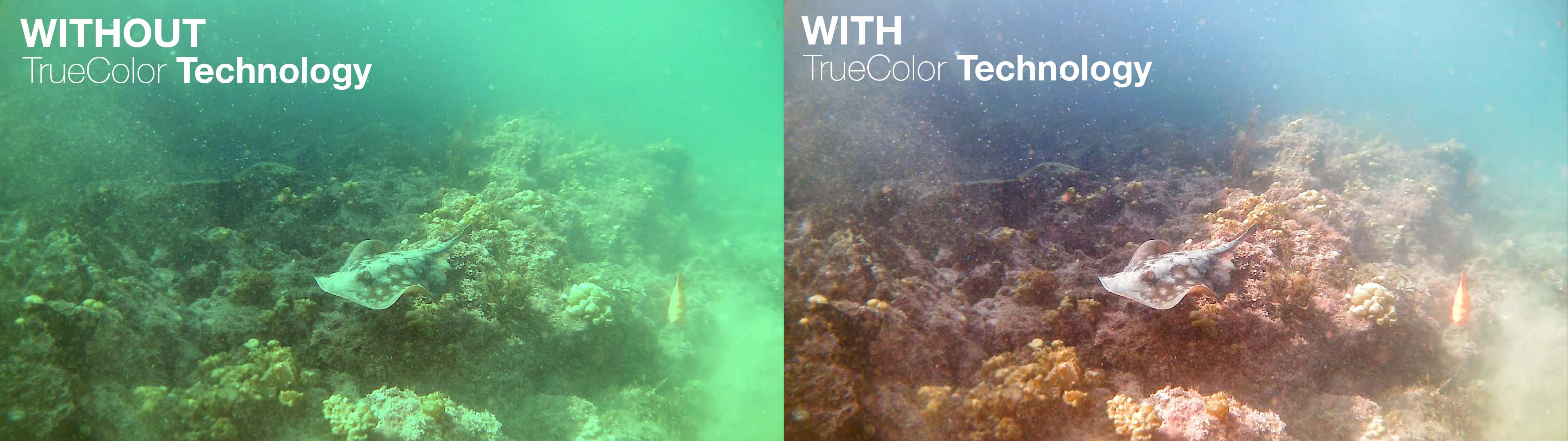 exploreHD True Color Technology